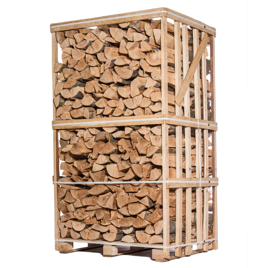 Lena de Roble Seca 50cm - Formato Grande